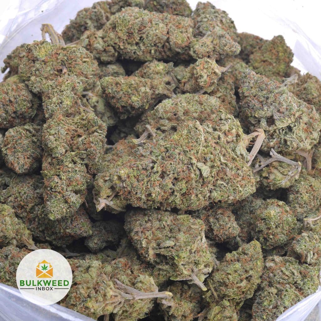 ALASKAN-THUNDER-FUCK-3