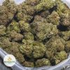 ALIEN-DAWG3