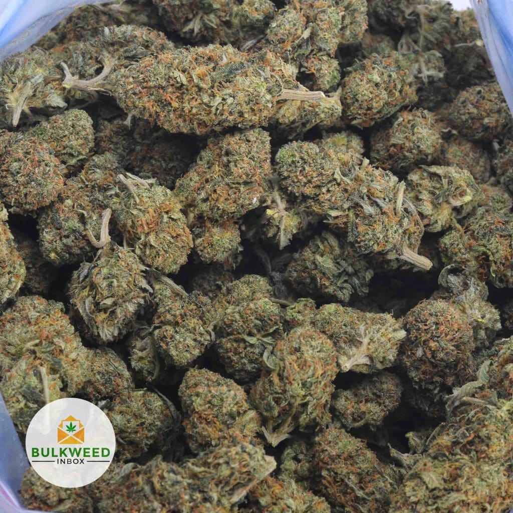 BANANA-OG-2