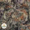 BLACK-DOMINA-POPCORN-2