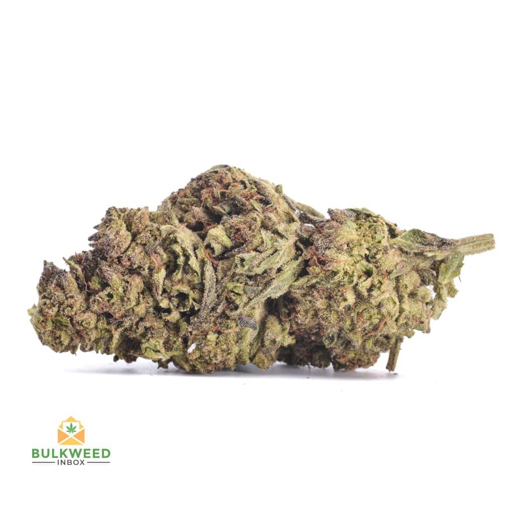 BLACK-KUSH