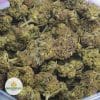 BLACK-KUSH-3