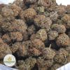 BLACKBERRY-3