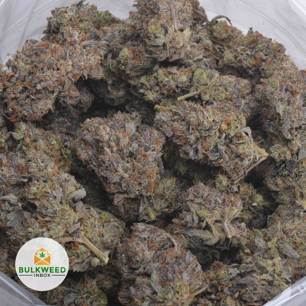 BLACKFIN-TUNA-KUSH-ORGANIC-TYSON-CRAFT-FARMS-3