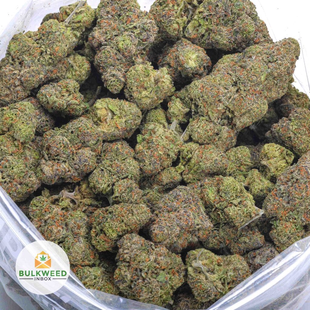 BLUE-SATELLITE-AAA