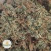 CANNALOPE-HAZE-2