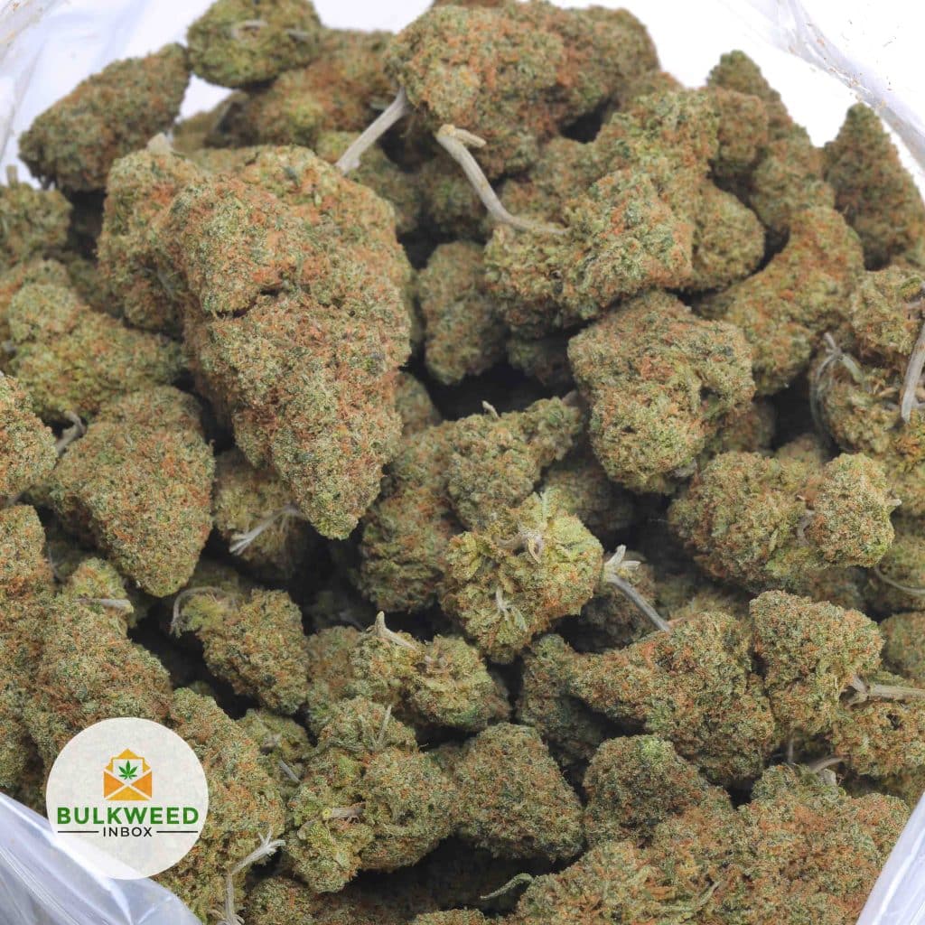 CANNALOPE-HAZE-3