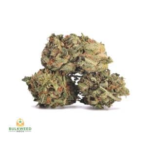 CRITICAL-KUSH-POPCORN-1