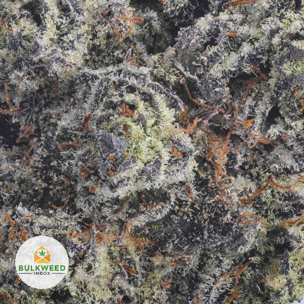 DARK-RAINBOW-AAAA2-3