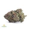 DEATH-BUBBA