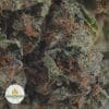 DEATH-BUBBA-2