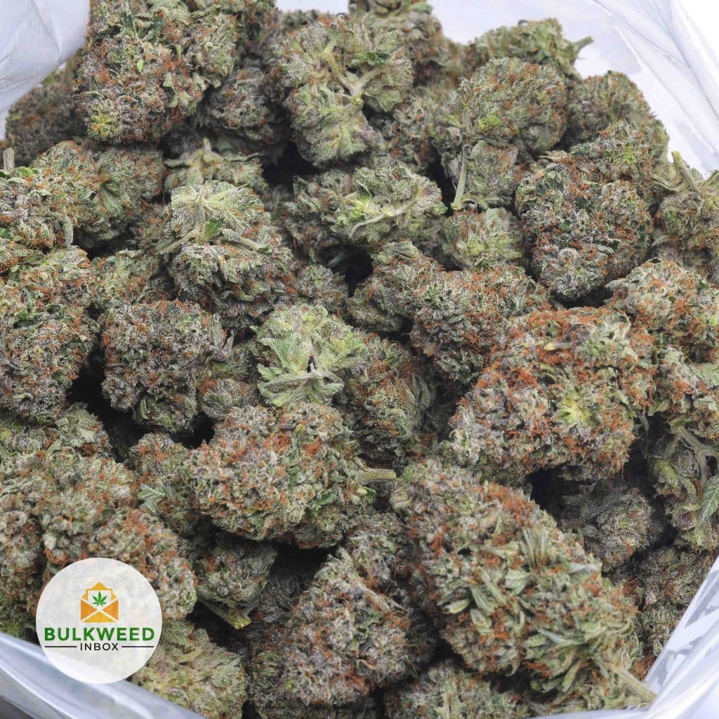 DEATH-BUBBA-3