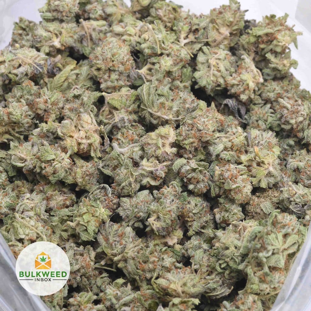 DEATH-COOKIES-POPCORN-3
