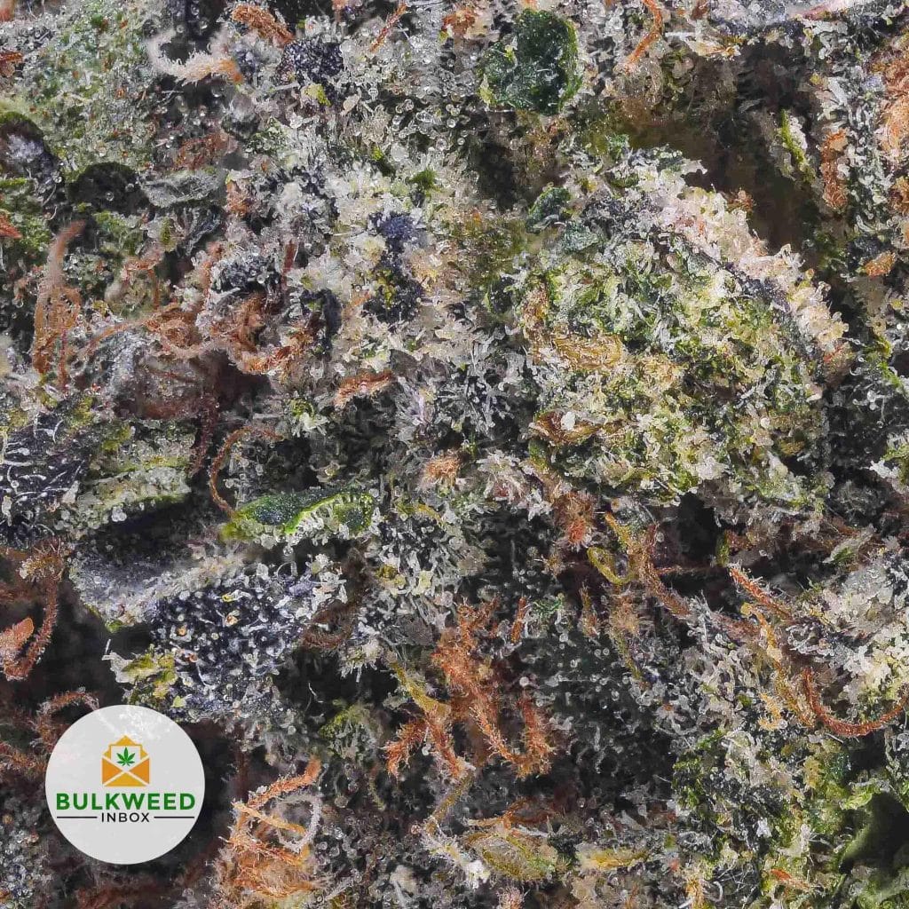 Fire-Breath-Trichome