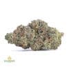 GALACTIC-JACK-KOOTNEY-CRAFT-FARMS