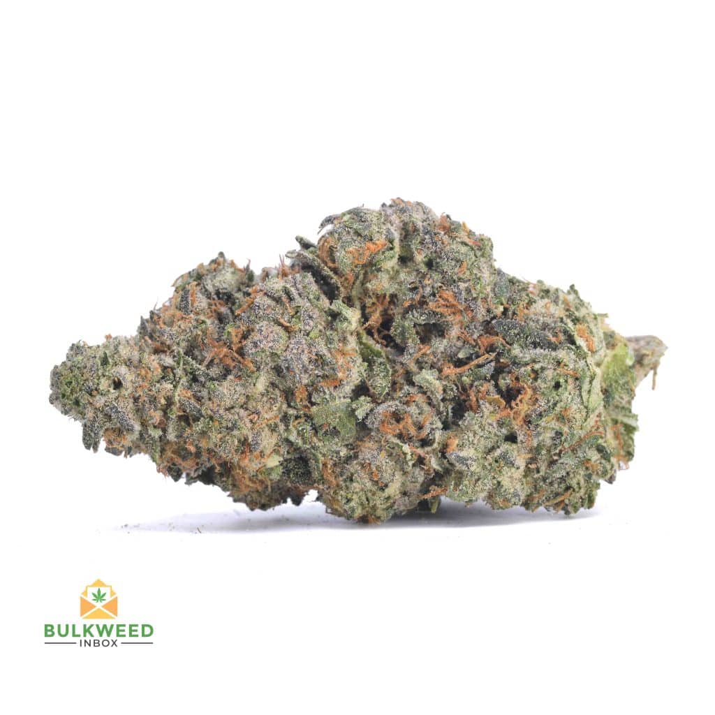 GALACTIC-JACK-KOOTNEY-CRAFT-FARMS