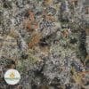 GALACTIC-JACK-KOOTNEY-CRAFT-FARMS-2