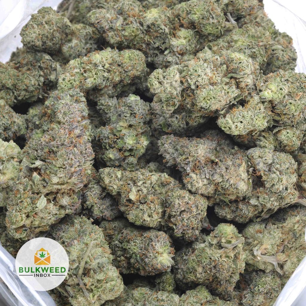 GALACTIC-JACK-KOOTNEY-CRAFT-FARMS-3