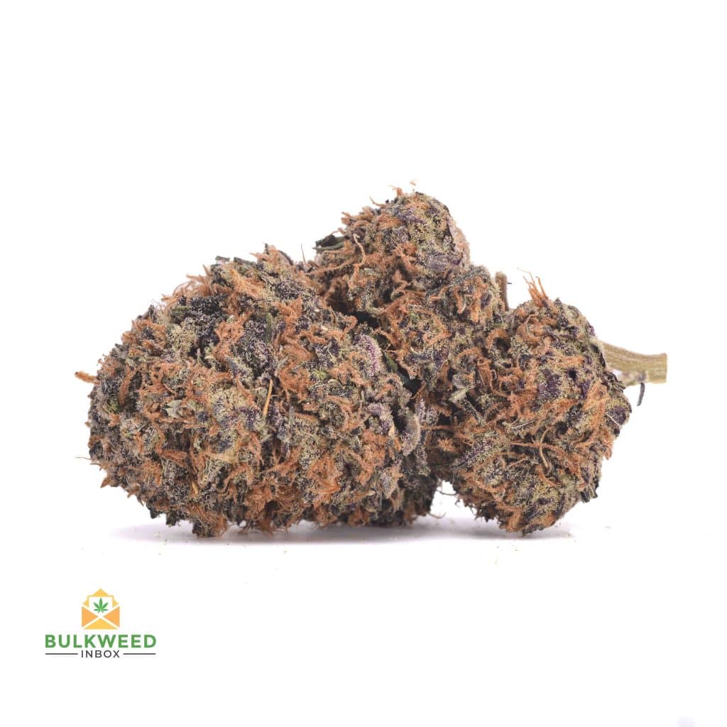 GHOST-TRAIN-HAZE-1