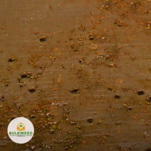 GOUDABERRY-SHATTER