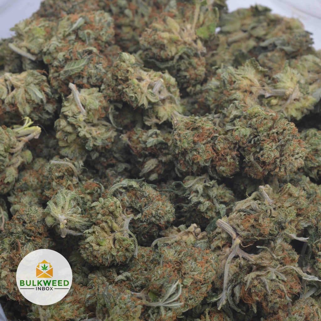 HINDU-KUSH-3-3