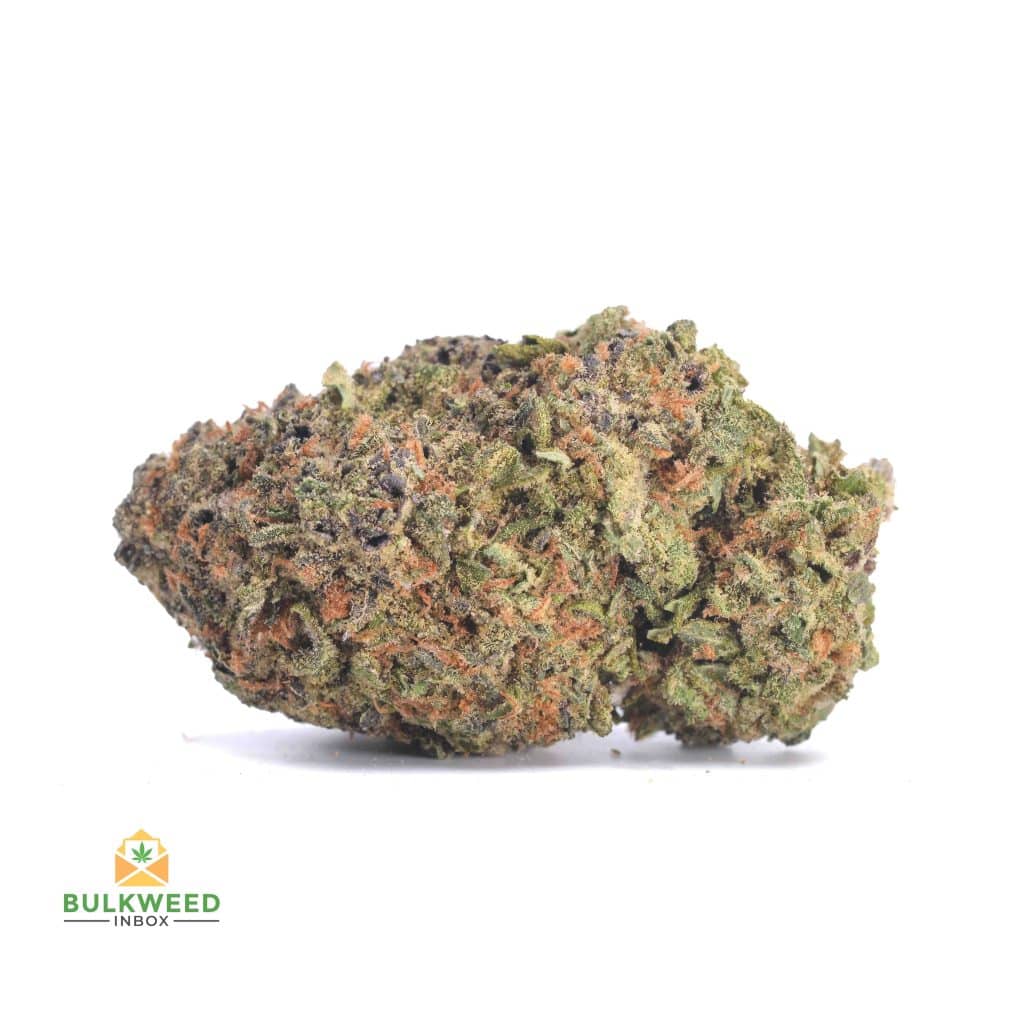 HUCKLEBERRY-3-1