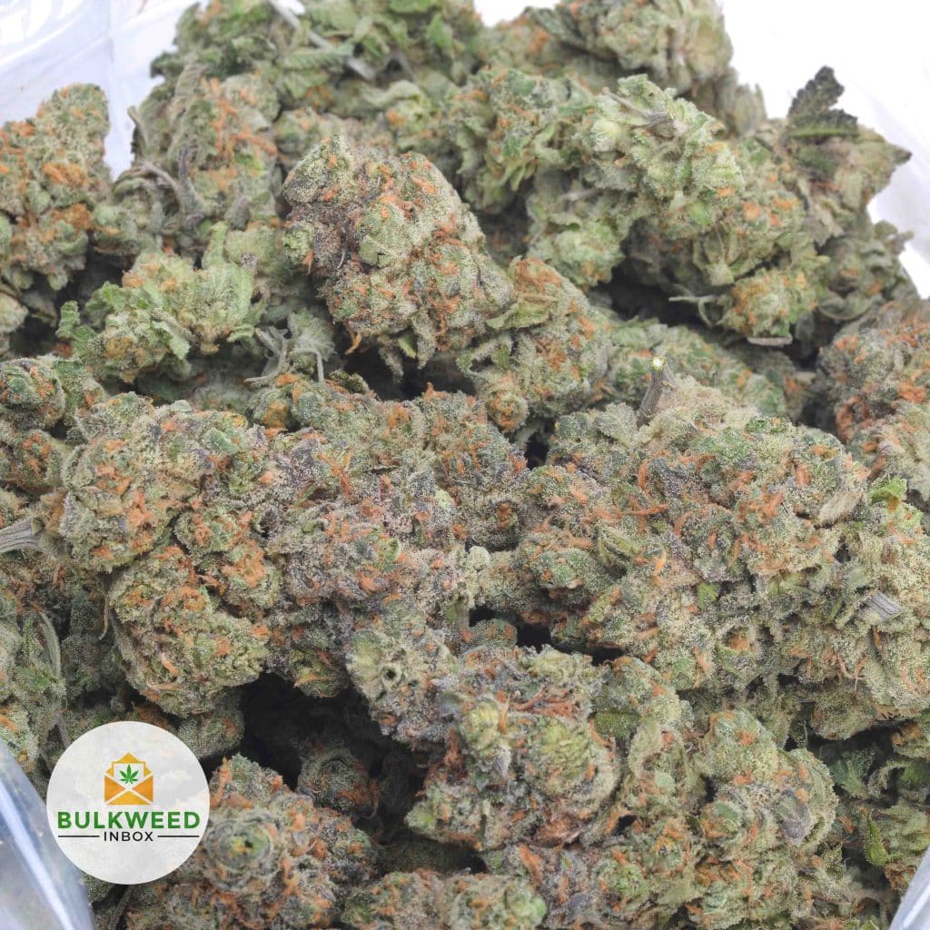 JACK-OF-DIAMONDS-3
