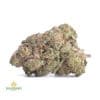 LOVE-POTION-1