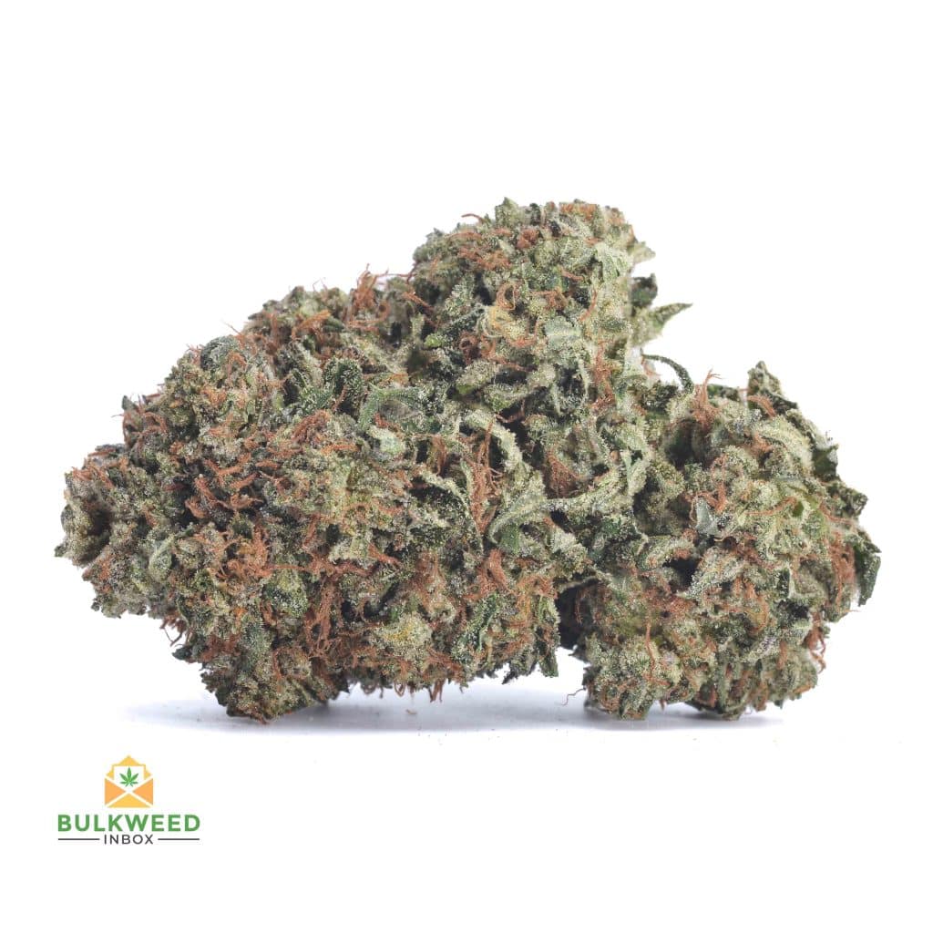 MASTER-KUSH