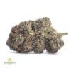 OBAMA-KUSH-1