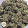 OBAMA-KUSH-4