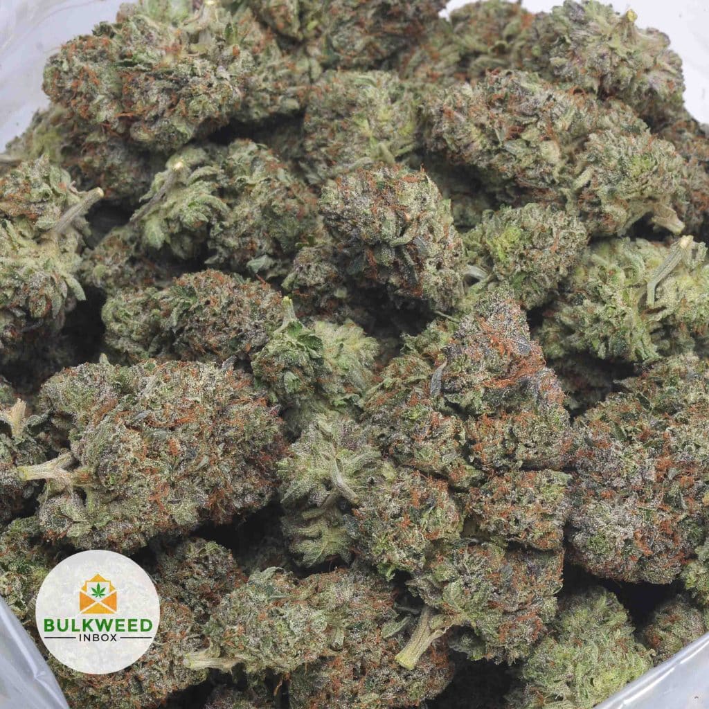 OBAMA-KUSH-4