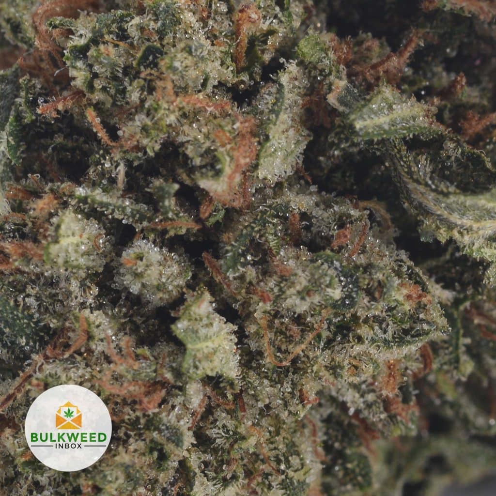 PINK-GAS-POPCORN-2