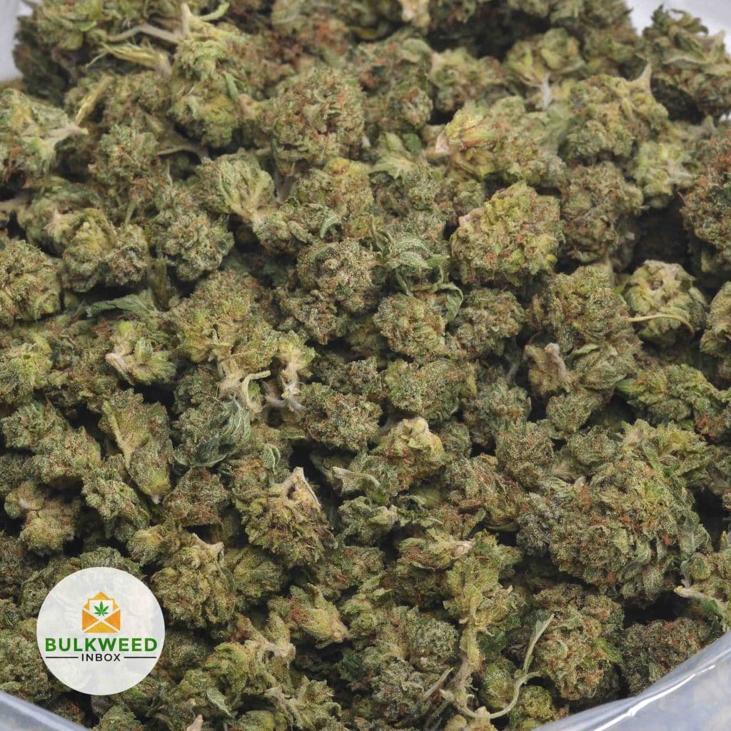 PINK-GAS-POPCORN-3
