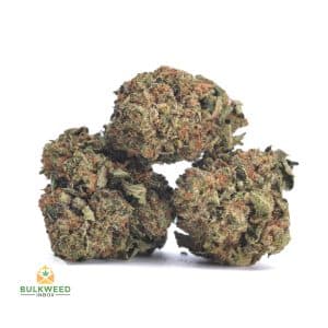 PINK-GAS-POPCORN