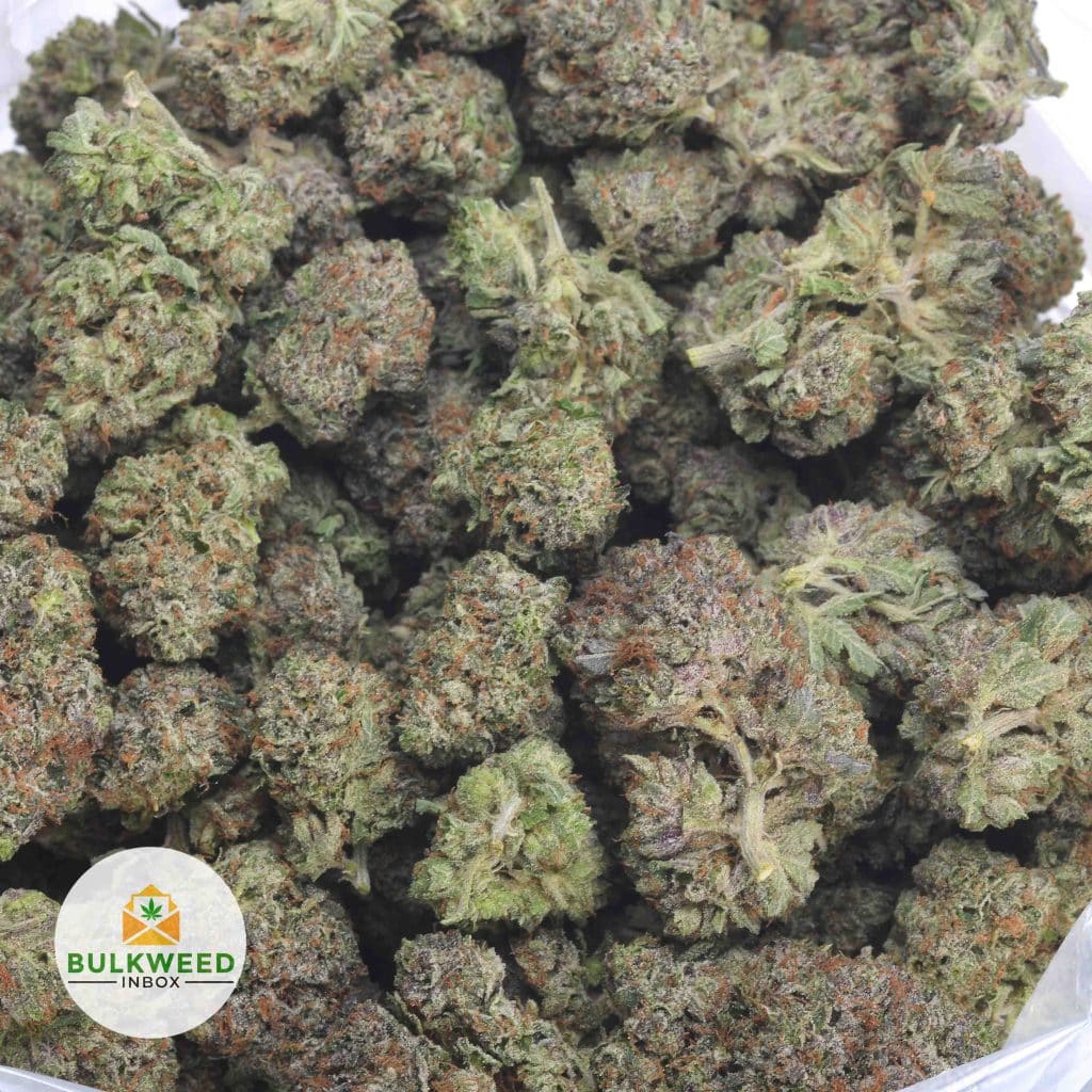 PINK-KUSH-3