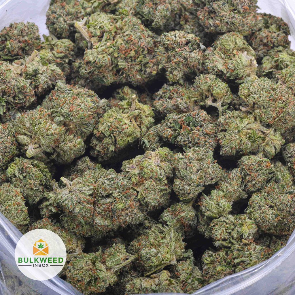 PINK-KUSH-BBAAAA-2