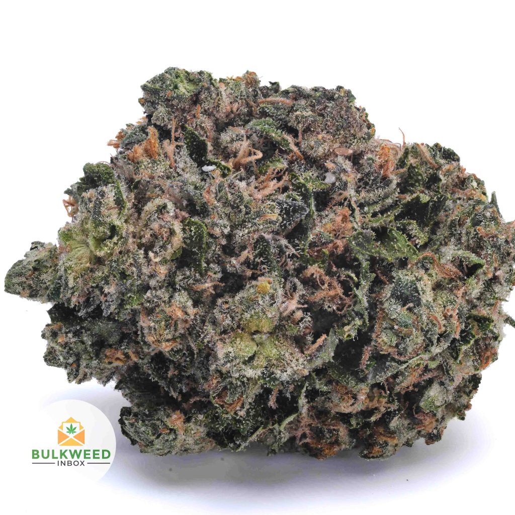 PINK-KUSH-BBAAAA1-2