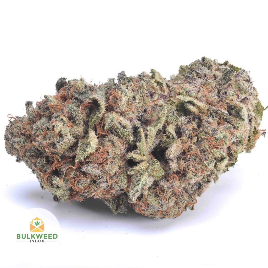 PLATINUM-HAZE-AA1