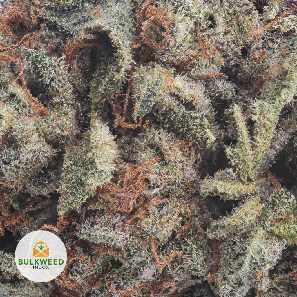 PLATINUM-HAZE-AA2