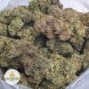 PLATINUM-ROCKSTAR-3