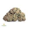 PURPLE-SKUNK