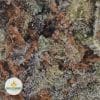 PURPLE-SKUNK-2