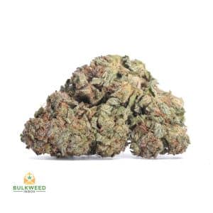 PURPLE-SKUNK