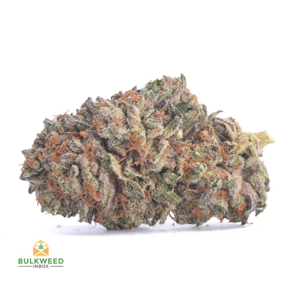 ROMULAN