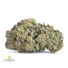SKUNK-1