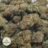SKUNK-1-3-2