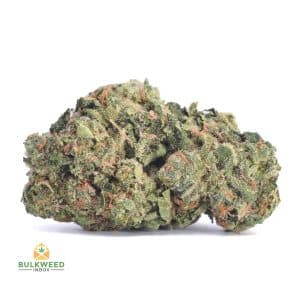 SKUNK-1