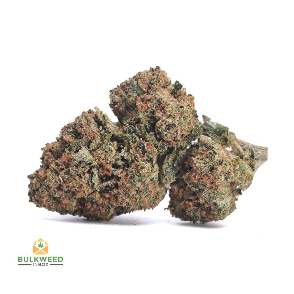 SKUNK-OG