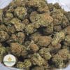SKUNK-OG-2